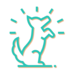 Ilustration for pet behavior solutions blog category