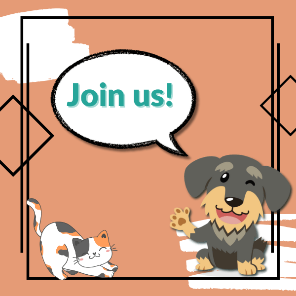 Mališa pointing to a'Join Us' chat balloon with a stretching calico cat