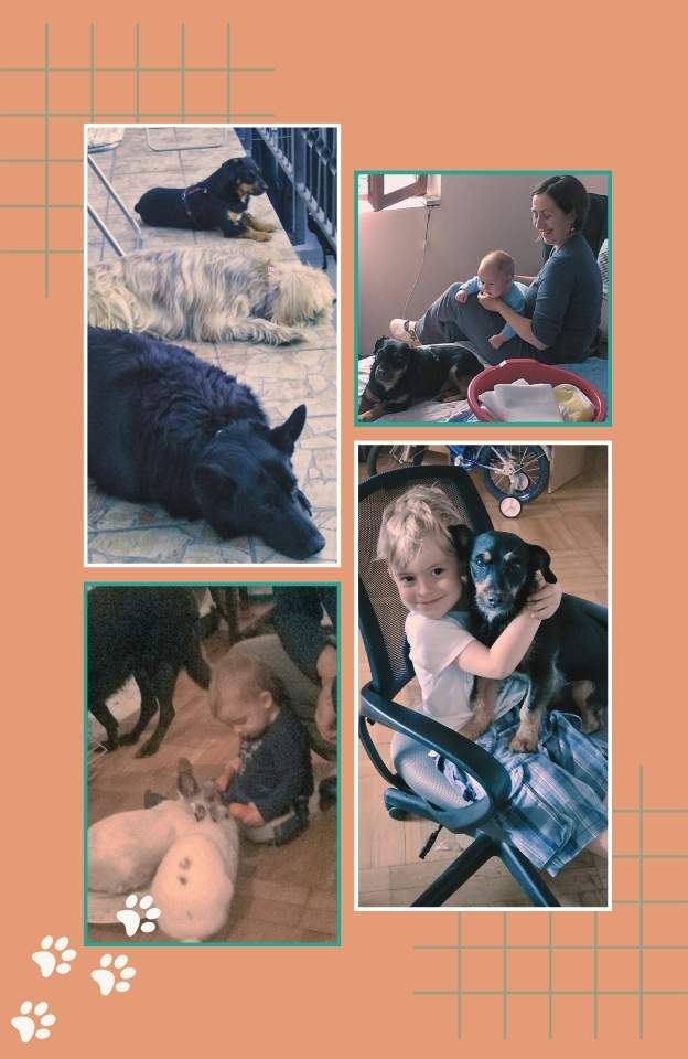 Family moments with pets on an orange background