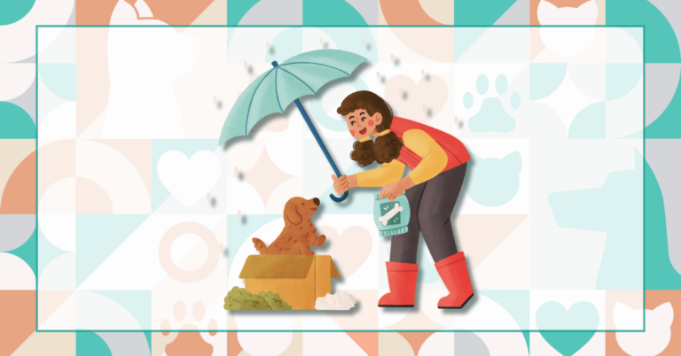Banner with brand-colored mosaic background and graphic of a woman holding an umbrella and feeding a dog in a box