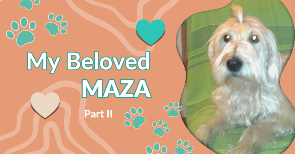 Graphic of Maza framed in a speech bubble with green hearts, paw prints, and text 'My Beloved Maza Part II' on an orange background